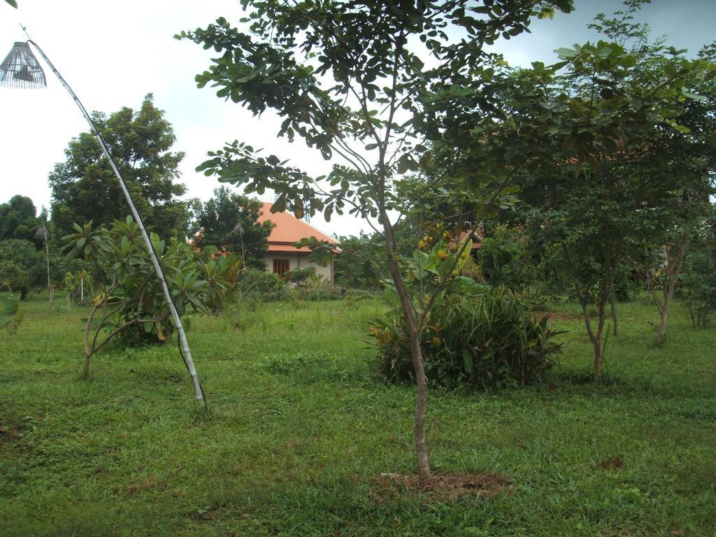 Green Plateau Lodge Banlung Bagian luar foto